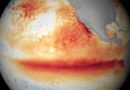 EL NIÑO verso un evento eccezionale: l’ONU lancia l’allarme, attese GRAVI CONSEGUENZE sul clima. E in SICILIA?